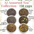 12 Tea Gift Sampler - 200 cups of Loose Leaf Tea