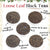 Black Tea - 5 Tea  Sampler Box, Gift Set - Loose