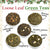 Green Tea - 5 Tea  Sampler Box, Gift Set - Loose