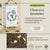 Flowery Jasmine Green Tea Box