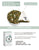 Genmaicha Green Tea Box